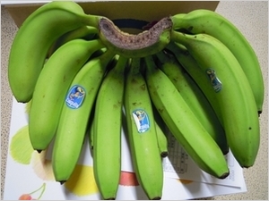 bonbanana.JPG